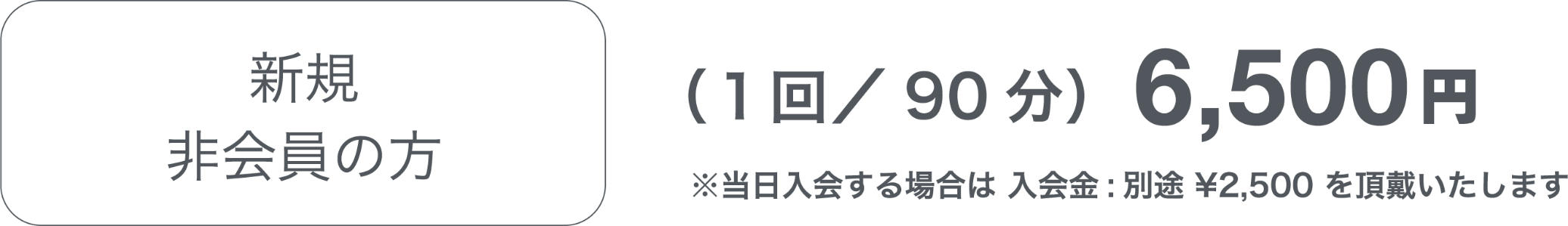 新規非会員の方（１回／90分）6,500円